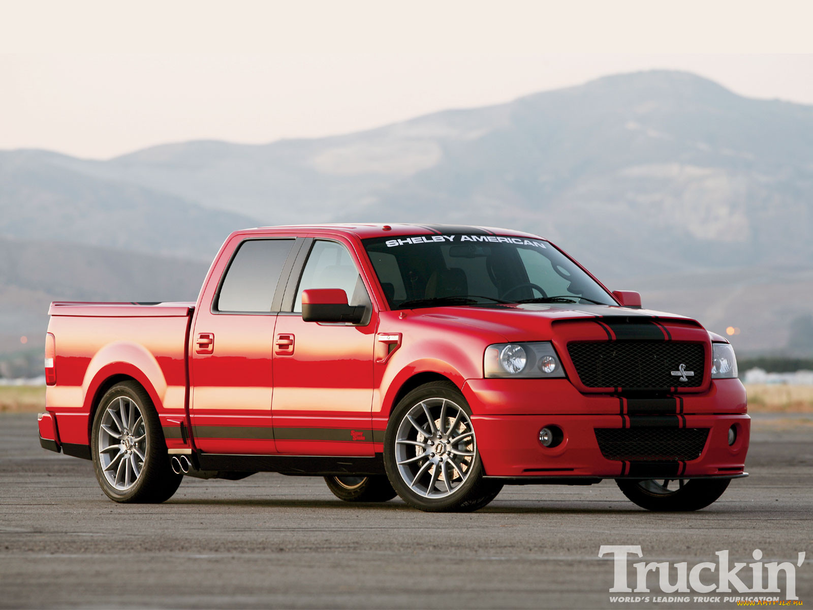 2010, ford, shelby, f150, super, snake, , custom, pick, up